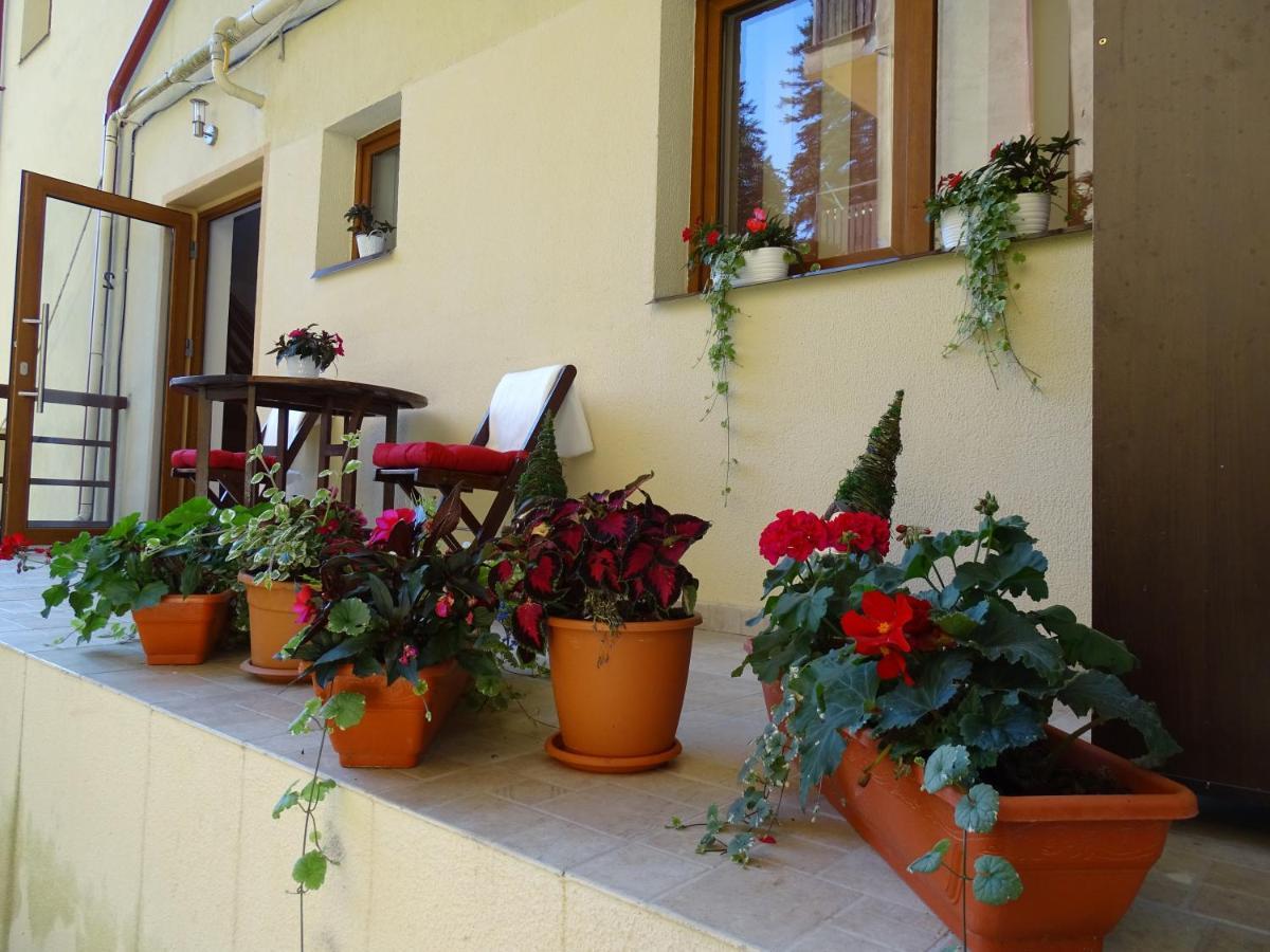 Alpin Residence Sinaia Zewnętrze zdjęcie