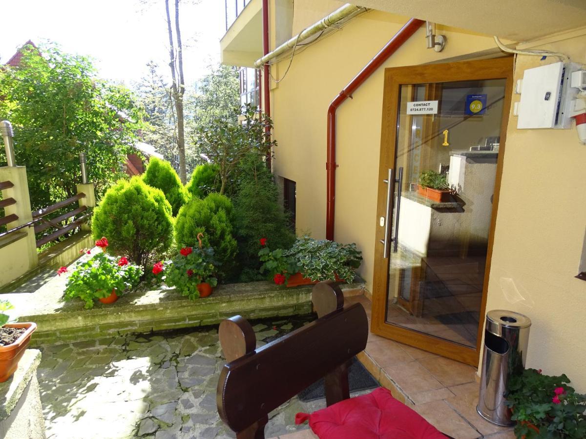 Alpin Residence Sinaia Zewnętrze zdjęcie