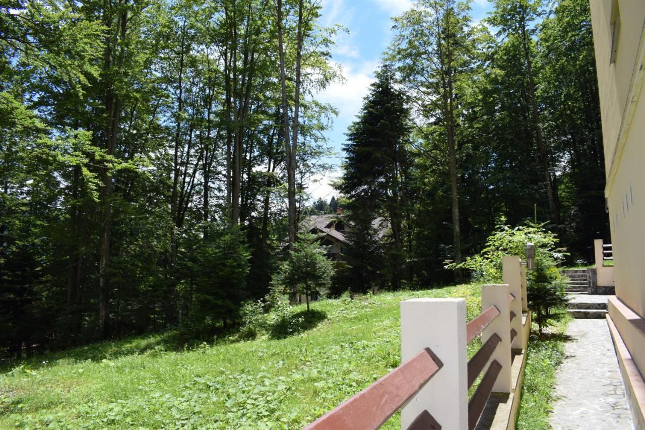 Alpin Residence Sinaia Zewnętrze zdjęcie